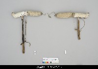 藏品(人形淨琉璃一組-右手)的圖片